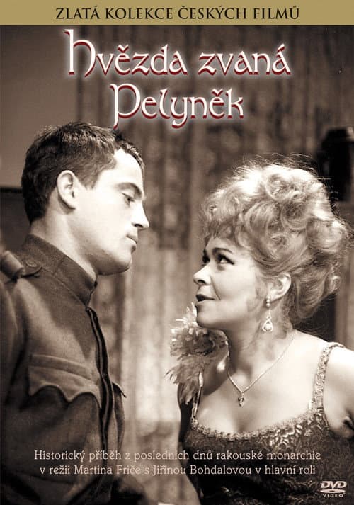 Hvězda zvaná Pelyněk (1965) poster