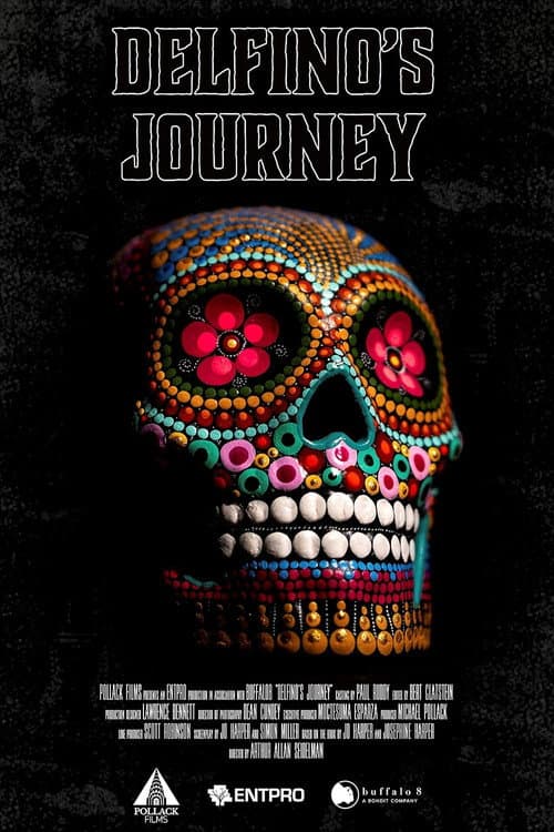 Delfino's Journey (2025) poster
