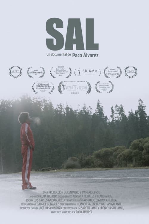 Sal (2022) poster