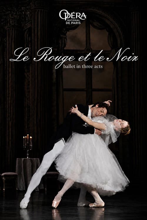 Le Rouge et le Noir (2021) poster