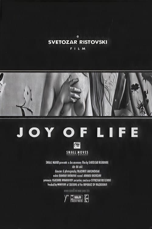 Радост на животот (2001) poster