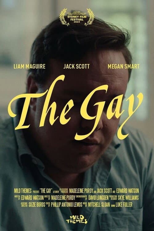 The Gay (2024) poster