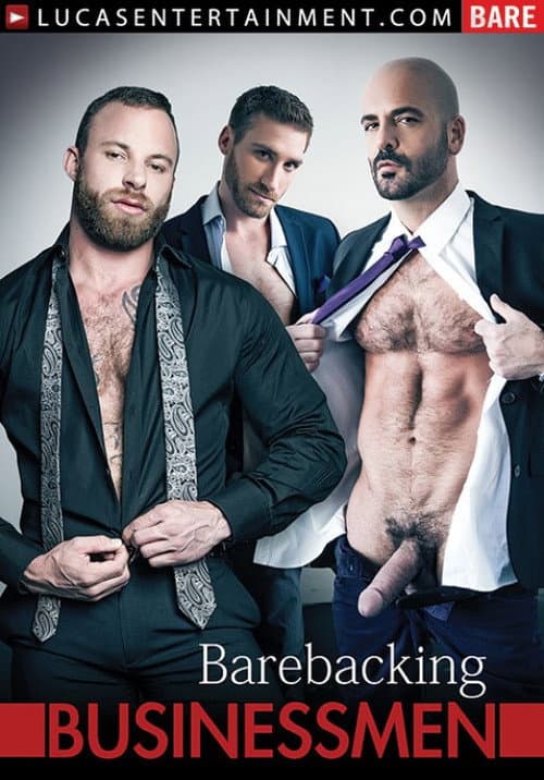 Gentlemen 13: Barebacking Businessmen (2015) poster