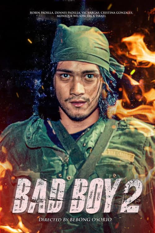 Bad Boy II (1992) poster