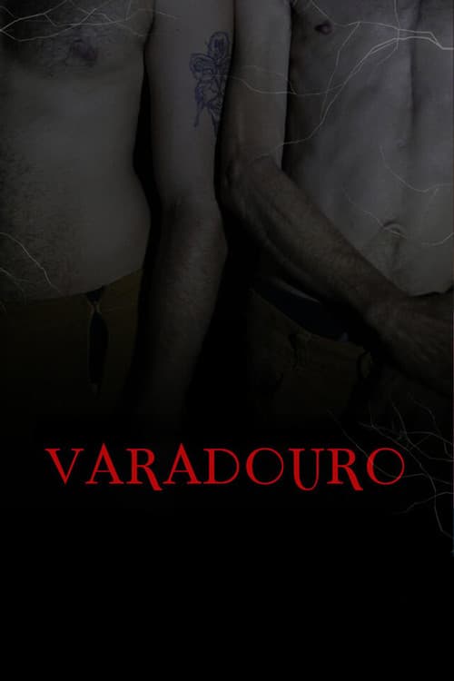 Varadouro (2025) poster