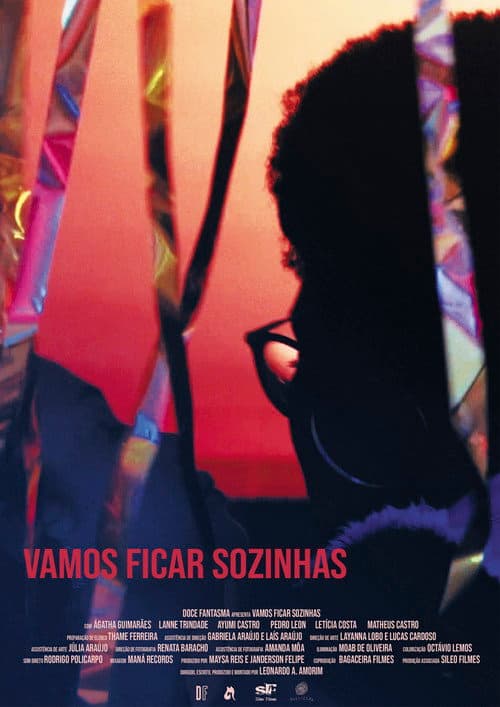 Vamos Ficar Sozinhas (2019) poster