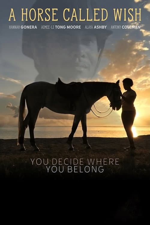A Horse Called Wish (2019) poster