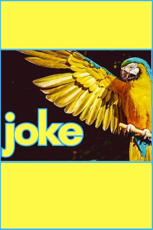 Joke (2026) poster