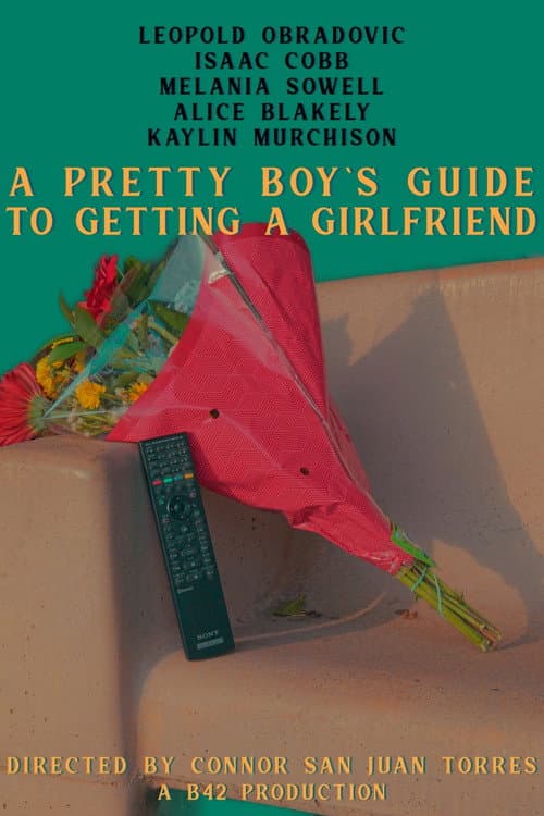 A Pretty Boy's Guide to Getting a Girlfriend (2026) poster