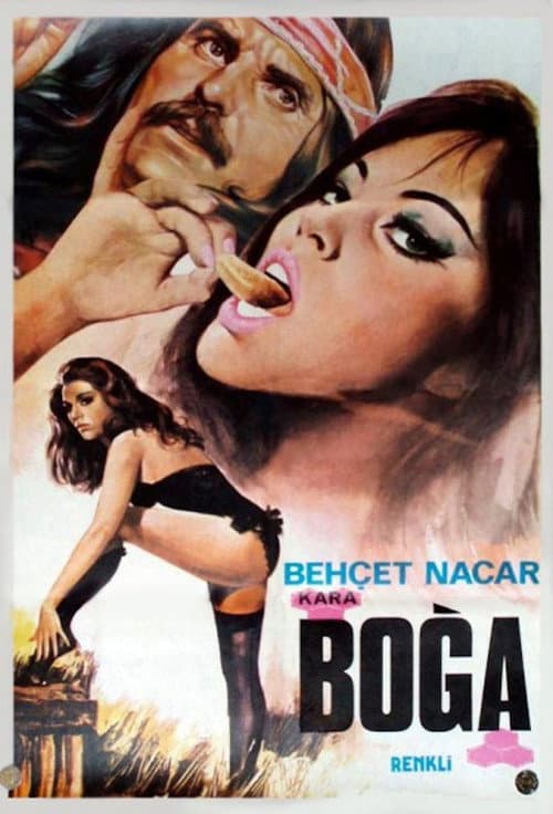 Kara Boğa (1974) poster