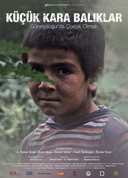 Küçük Kara Balıklar - Güneydoğuda Çocuk Olmak (2014) poster