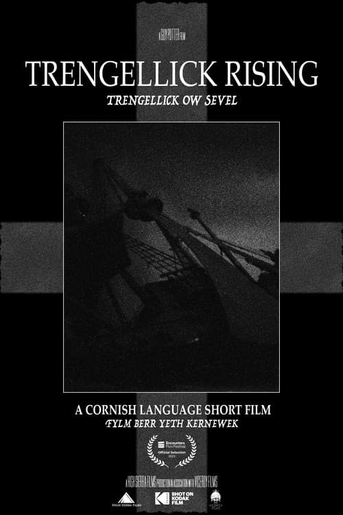 Trengellick Rising (2024) poster