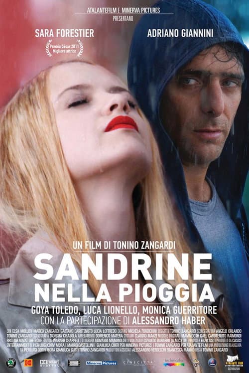 Sandrine nella pioggia (2008) poster