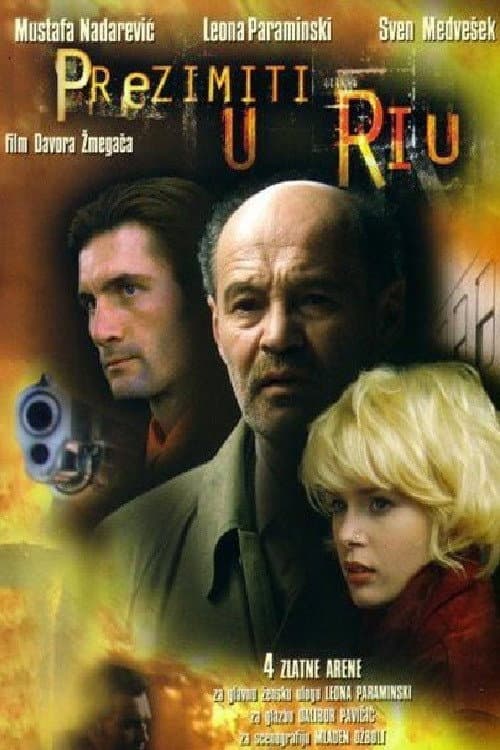 Prezimiti u Riu (2002) poster