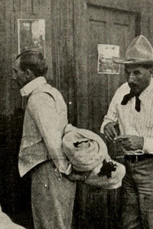 A Montana Mix-Up (1913) poster