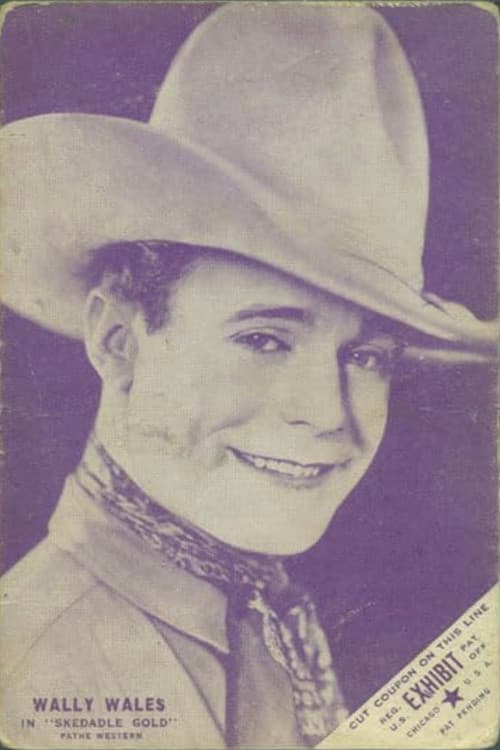 Skedaddle Gold (1927) poster