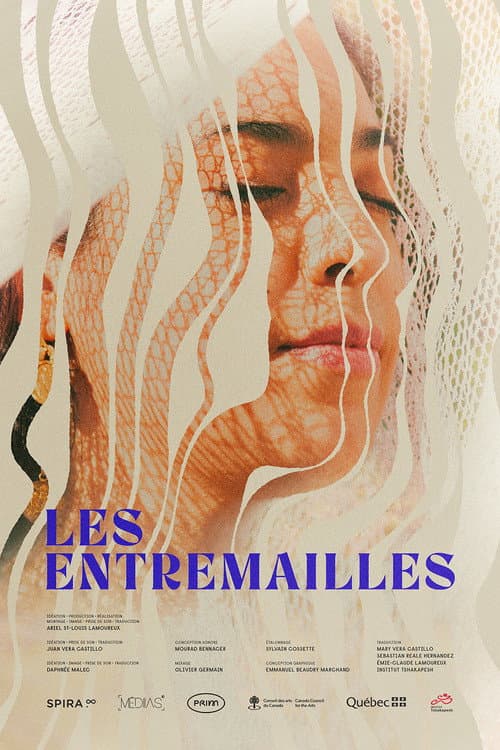 Les Entremailles (2022) poster