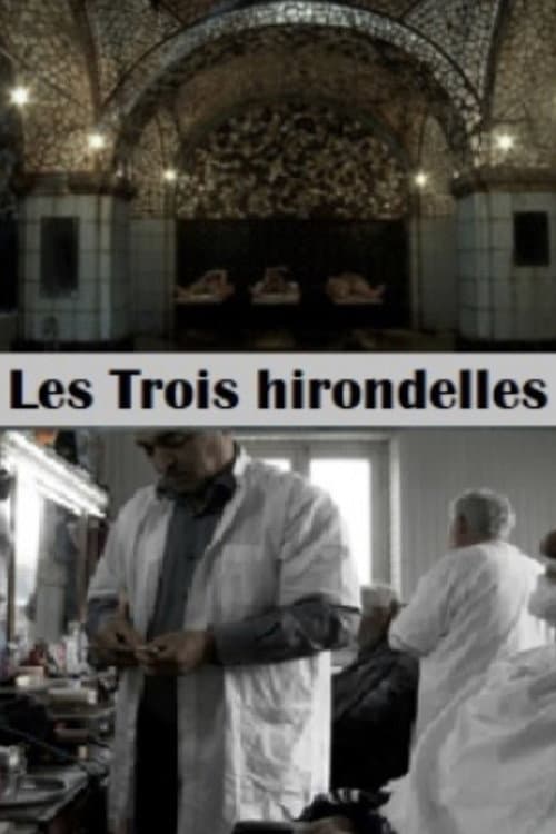 Les trois hirondelles (2016) poster