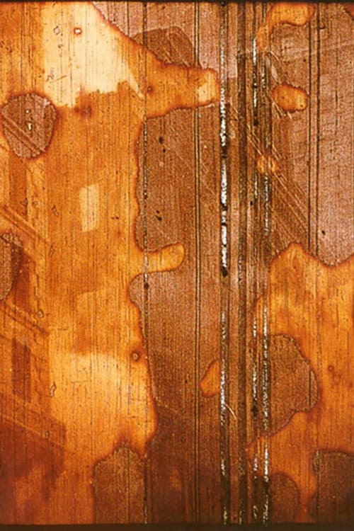 Tradition ist die Weitergabe des Feuers und nicht die Anbetung der Asche (1999) poster