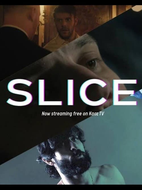 Slice (2024) poster