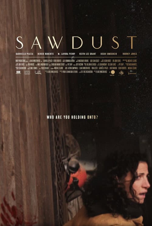 Sawdust (2022) poster