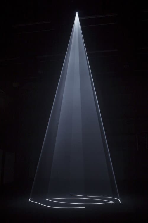 Skirt (I) (2010) poster