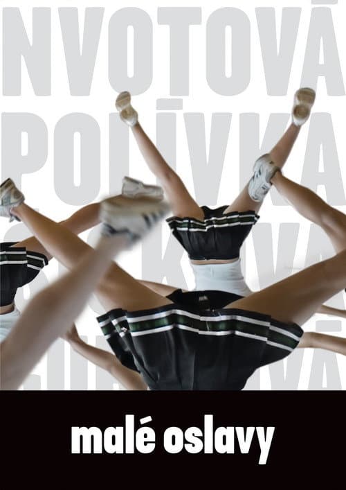 Malé oslavy (2008) poster