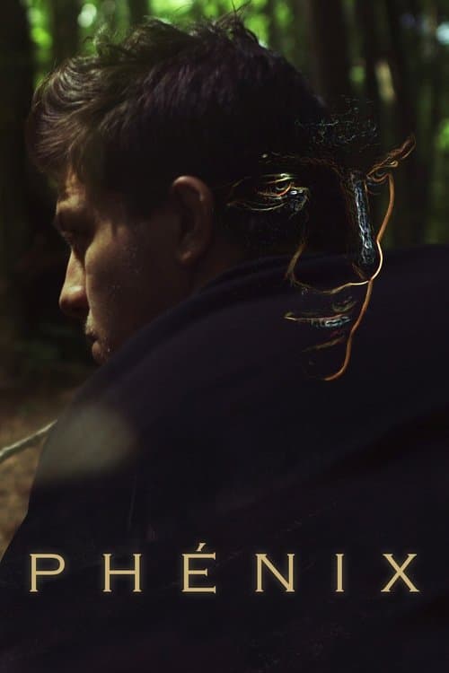 Phénix (2020) poster