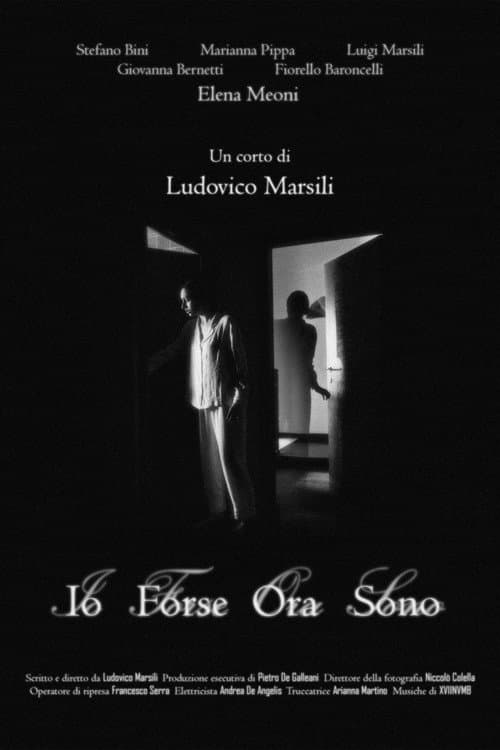 Io Forse Ora Sono (2024) poster