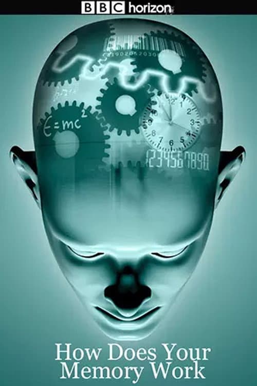 How Does Your Memory Work (2008) poster