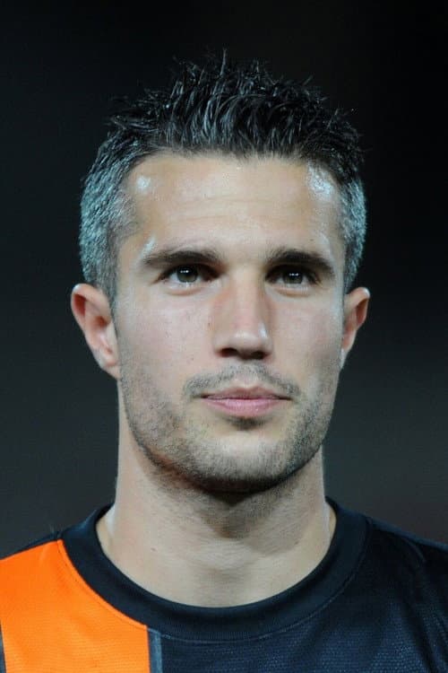 Robin van Persie foto