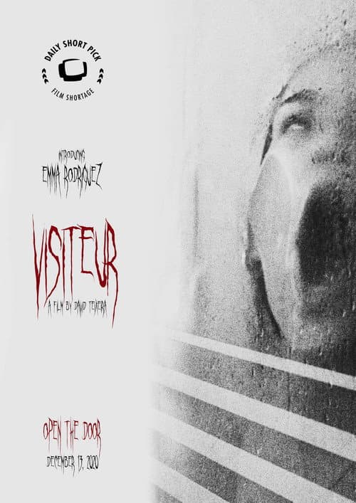 Visiteur (2020) poster