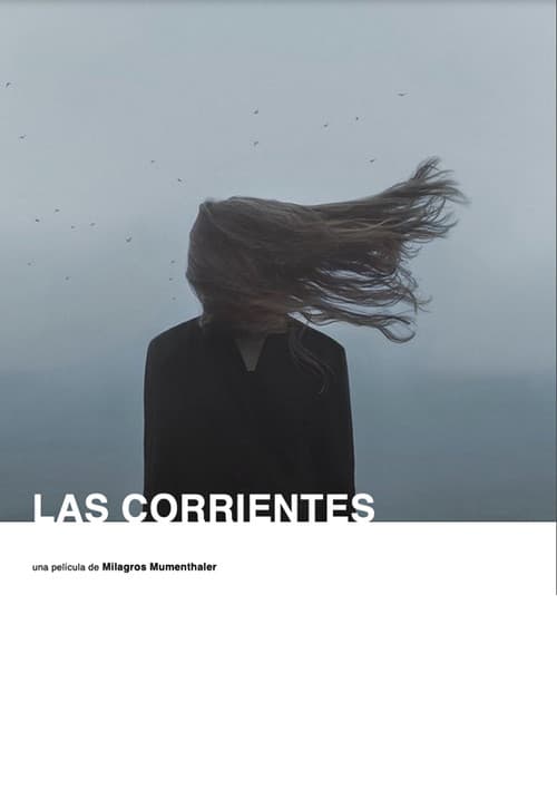 Las corrientes (2025) poster