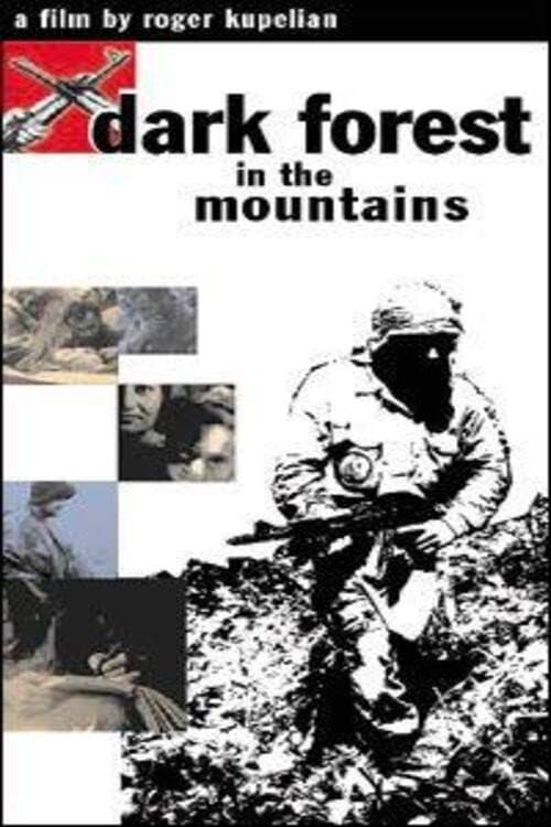Dark Forest in the Moutains (2002) poster