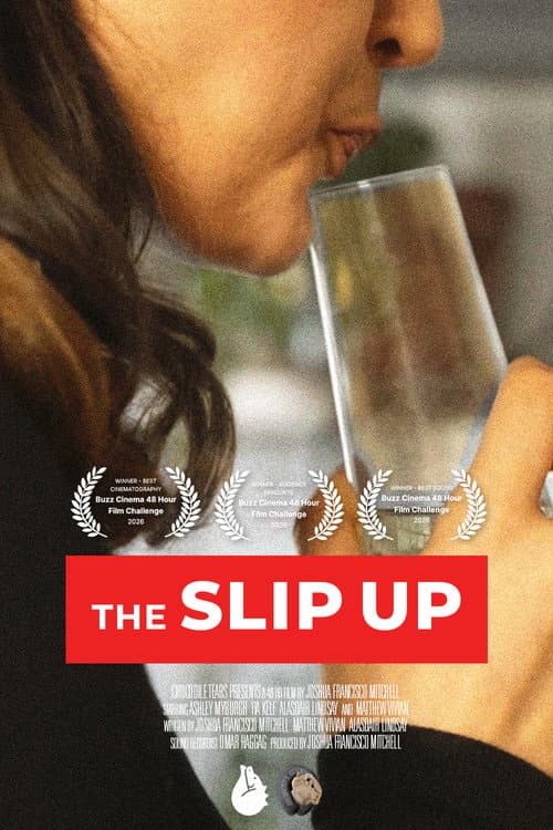 The Slip Up () poster