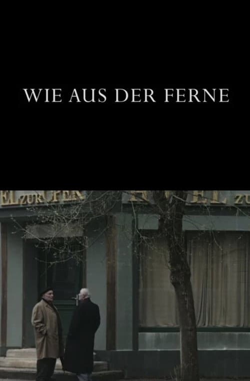 Wie aus der Ferne (2013) poster