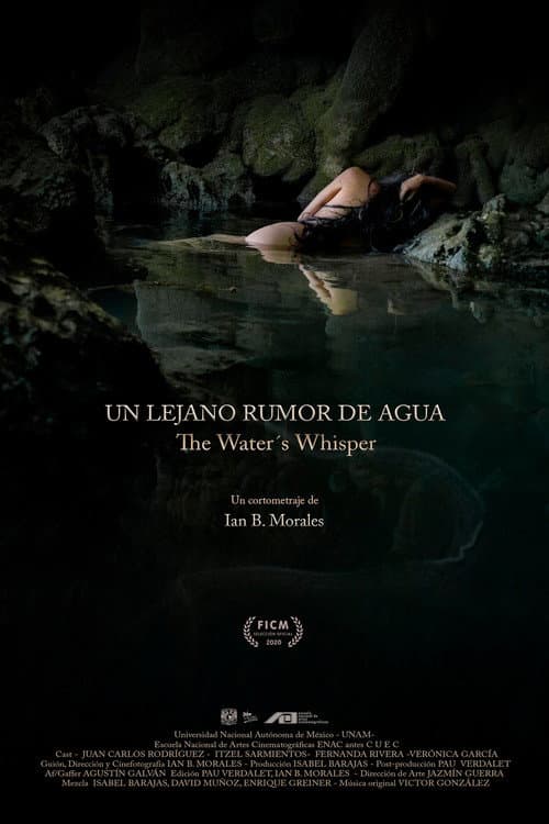 Un Lejano Rumor de Agua (2020) poster