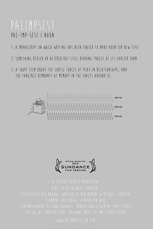 Palimpsest (2013) poster