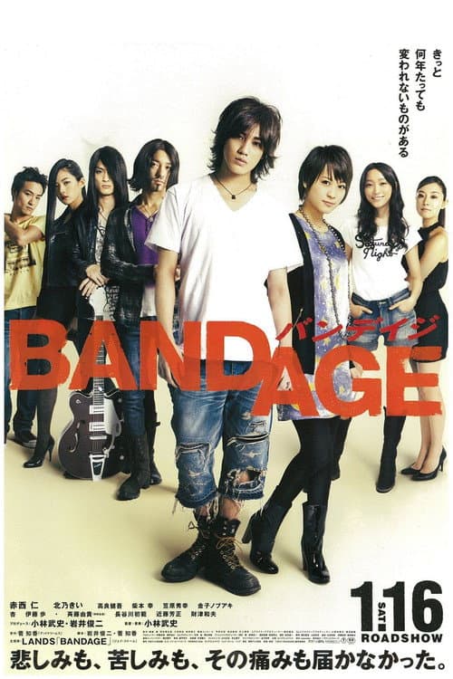 BANDAGE バンデイジ (2010) poster