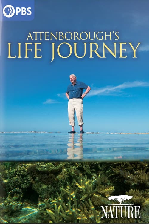 Attenborough's Life Journey (2024) poster