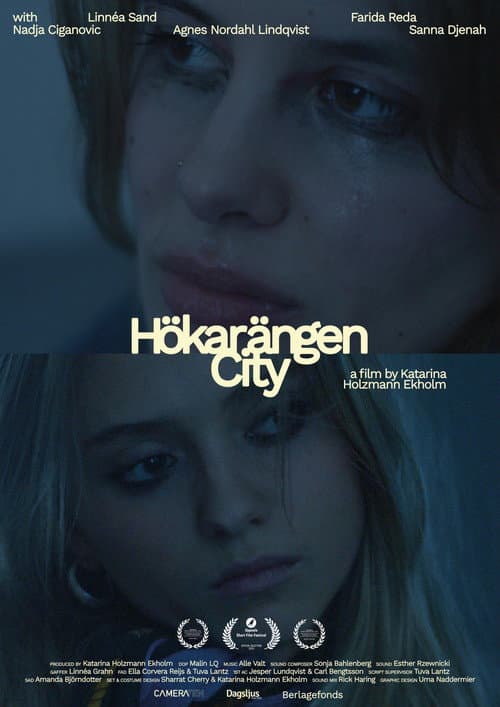 Hökarängen City (2025) poster