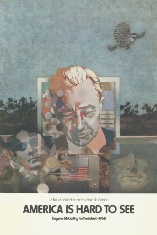 America Is Hard to See (1970) poster