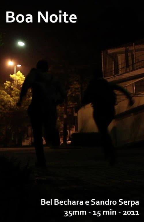 Boa Noite (2011) poster