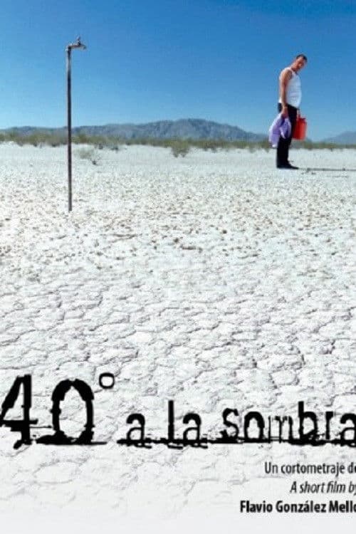 40° a la sombra (2008) poster