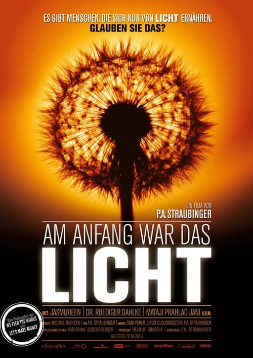 Am Anfang war das Licht (2010) poster