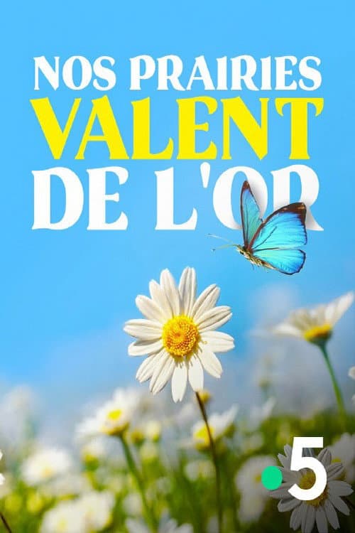 Nos prairies valent de l'or (2020) poster