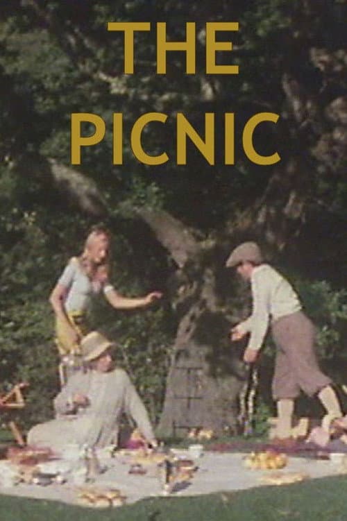 The Picnic (1976) poster