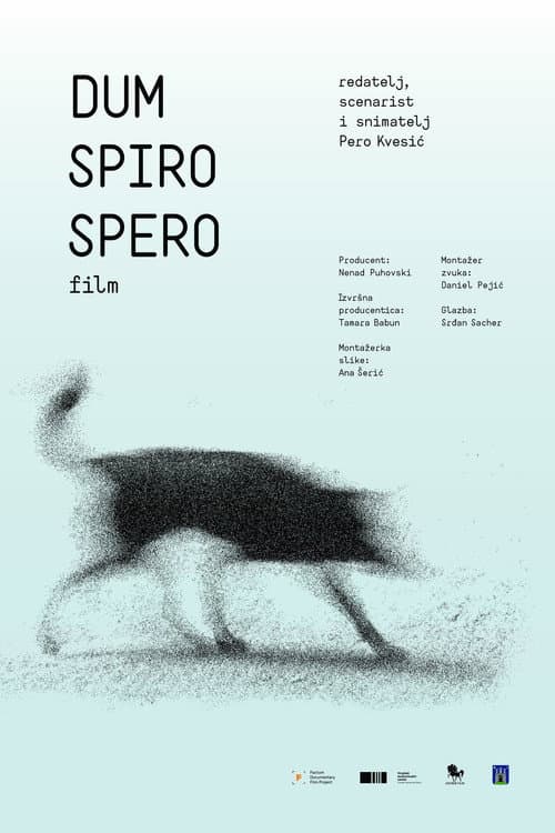 Dum spiro spero (2017) poster