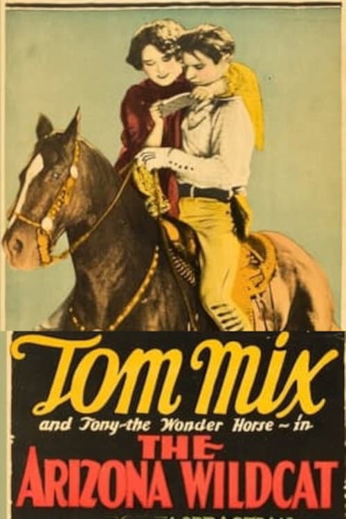 The Arizona Wildcat (1927) poster