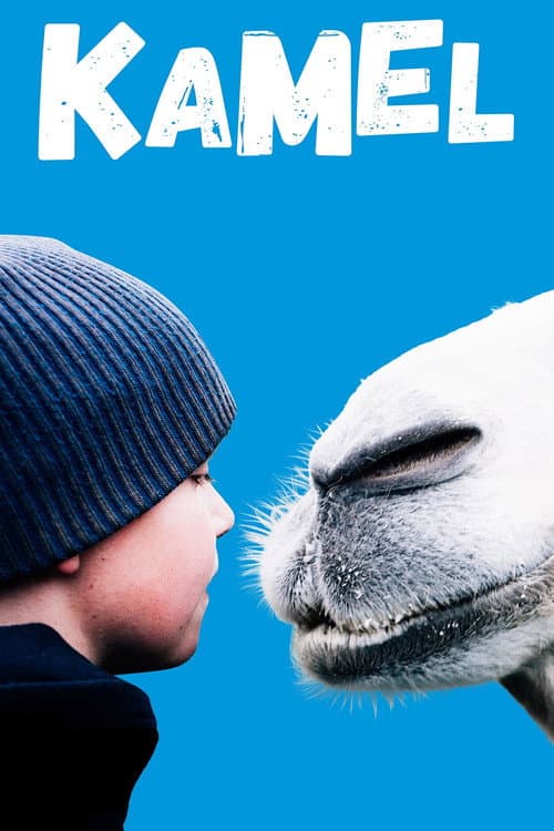 Kamel (2019) poster